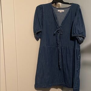 LOFT Indigo Tie-Front Dress